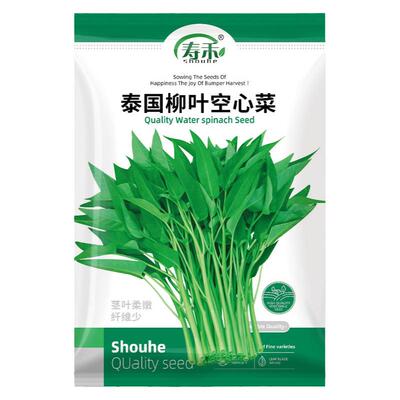 寿禾四季菜籽泰国柳叶空心菜种子