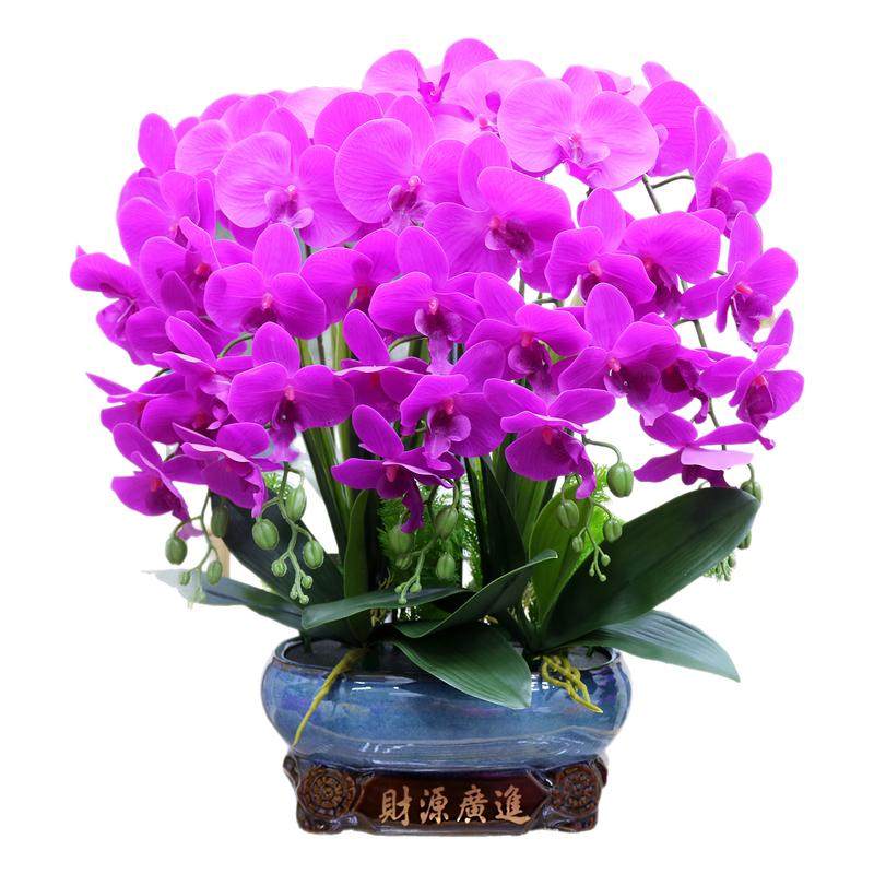 仿真花大盆手感PU蝴蝶兰客厅装饰花电视柜茶几冰箱假花前台摆件花