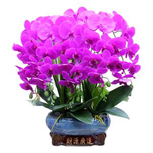 仿真花大盆手感PU蝴蝶兰客厅装饰花电视柜茶几冰箱假花前台摆件花