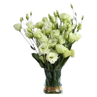 鲜花白色洋桔梗鲜切花家庭插花客厅餐桌摆花装饰云南昆明基地直发