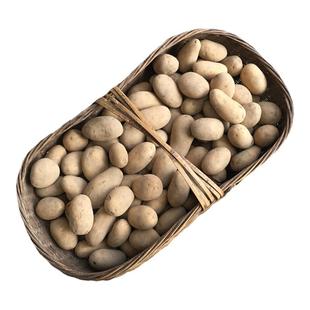 土豆新鲜老品种粉糯黄心洋芋湖北南漳板桥高山土豆农家自种马铃薯