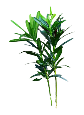 袖珍罗汉松客厅假山盆景树