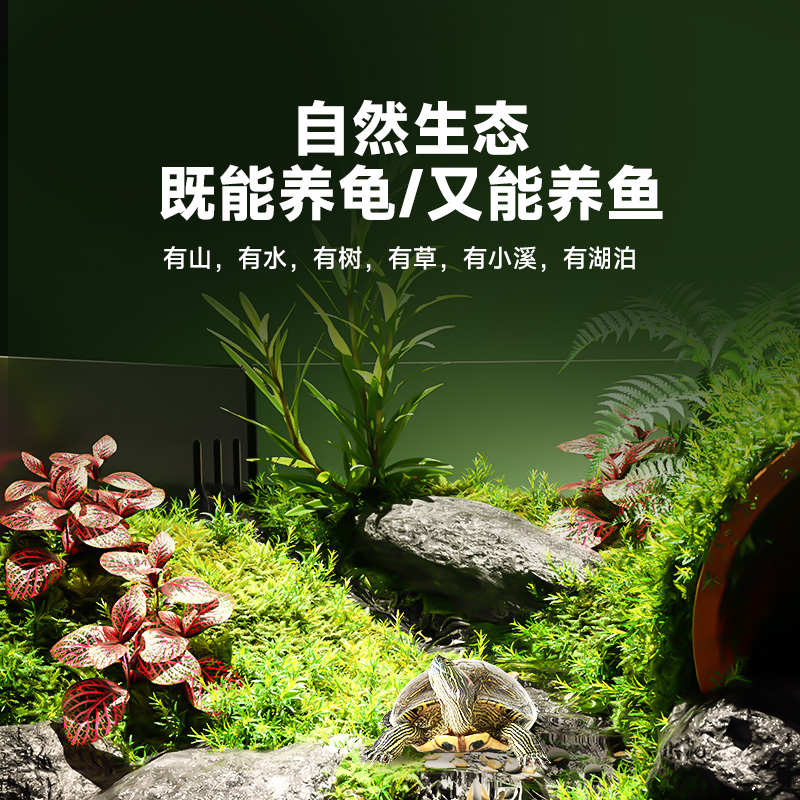 生态乌龟缸造景全套饲养鱼龟混养懒人养龟小型小乌龟专用家用鱼缸