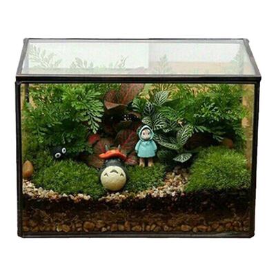 北欧玻璃罩景观多肉植物花瓶