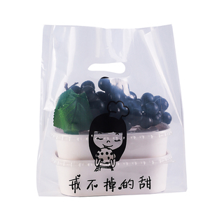 塑料烘焙手提袋子透明小号高档精致蛋糕店食品包装外卖打包袋定做