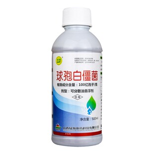 球孢白僵菌100亿孢子/克玉米螟蛴螬蝗虫粘虫草地贪夜蛾杀虫剂500g