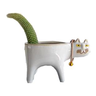 猴尾柱仙人柱猴尾巴九尾狐盆栽猫咪花盆室内桌面绿植卡通猫植物小