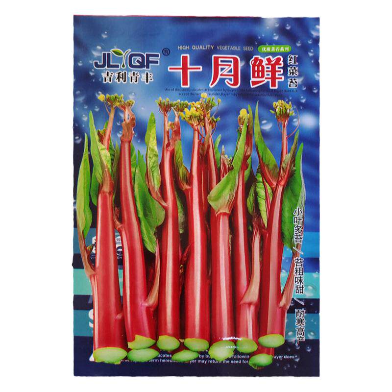 红菜苔种子种籽紫广东菜心紫菜苔四季增城迟蔬菜孑菜籽苗甜菜心