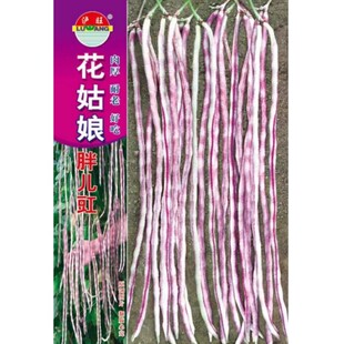 花豇豆种子 胖儿豇豆种籽厚肉长豆角江豆 四川春秋季田园蔬菜种孑