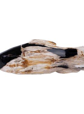 简约现代天然木化石鱼造型摆件