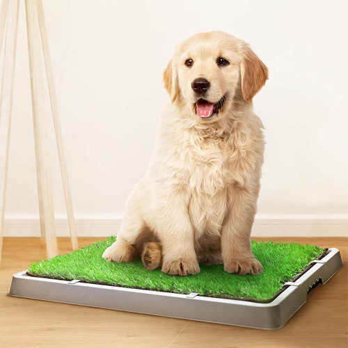 狗狗厕所免尿垫冲水泰迪狗尿盆大中小型犬便盆草坪训厕神器防踩屎