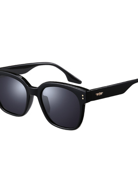 gm墨镜偏光防紫外线高级感太阳镜