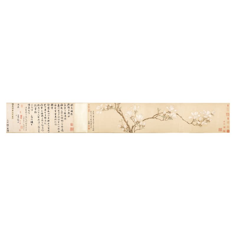 文徵明白玉兰图卷画芯行书跋文原