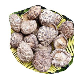 粤北韶关始兴花菇本地香菇500g农家野山特产干货送礼佳彩包