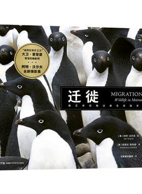 迁徙中国国家地理动物摄影集