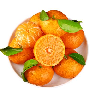 「广西砂糖橘」每年都爱炫的橘子