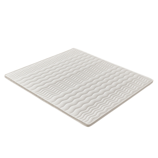 软床垫加硬神器床垫硬垫子棕垫天然椰棕护脊硬质粽榈超薄180x200