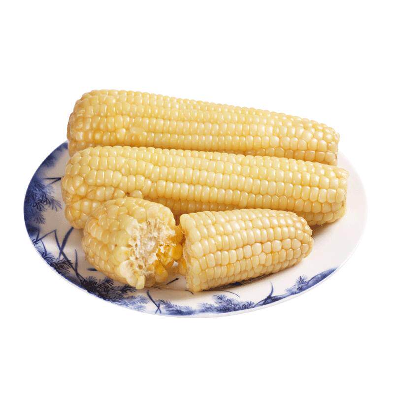 河北新鲜现摘穗康白糯玉米