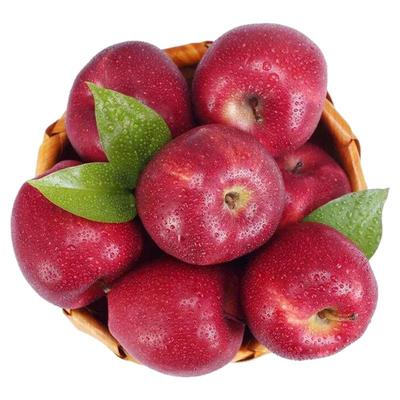 正宗甘肃天水花牛苹果蛇红果婴宝宝老人粉面沙脆苹果新鲜水果10斤