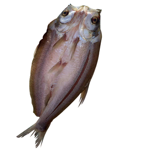 阳干大白刁翘嘴鱼低盐腌制湖南特产岳阳风干鱼阳干刁子鱼不咸肉嫩