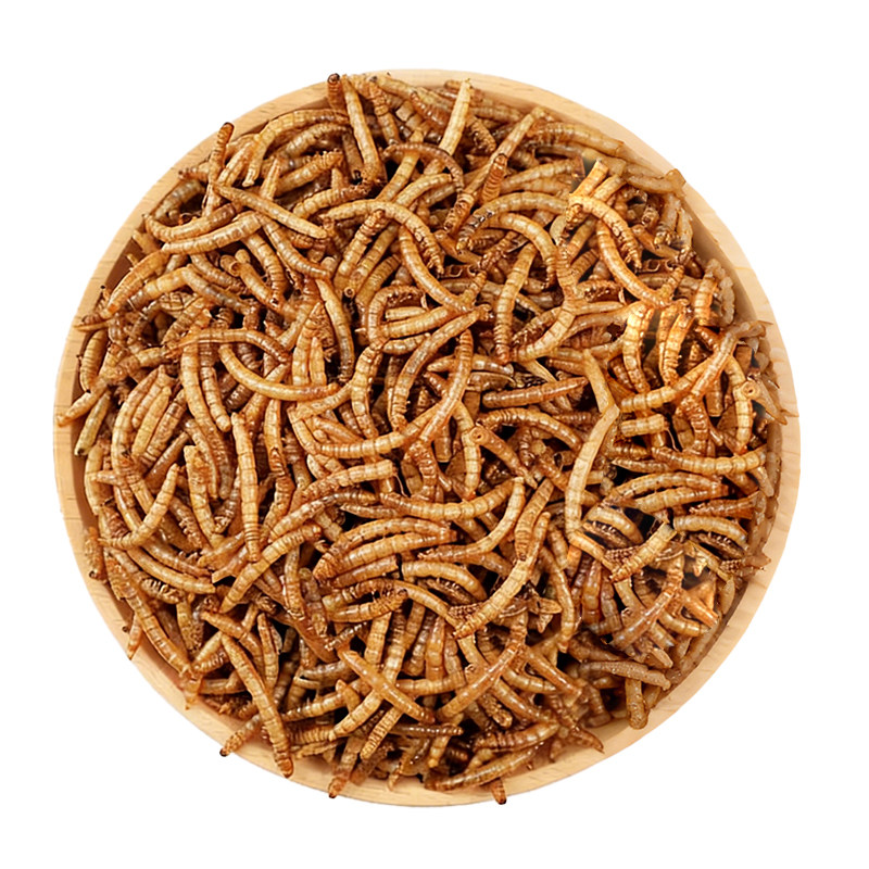 鹦鹉鸟食面包虫干活虫饲料牡丹虎皮玄风通用营养补充训鸟训练奖励
