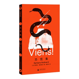 恐慌集 写后即焚的孤独女作家芭芭拉莫利纳尔神秘故事集广西师范大学出版社卡夫卡普拉斯卡林顿读者不可错过的神经故事集