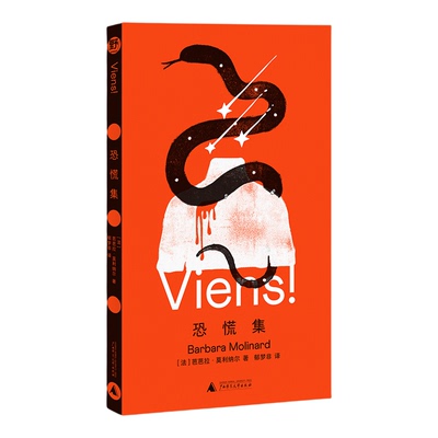 恐慌集 写后即焚的孤独女作家芭芭拉莫利纳尔神秘故事集广西师范大学出版社卡夫卡普拉斯卡林顿读者不可错过的神经故事集