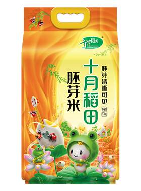 十月稻田生态胚芽米颗粒饱满