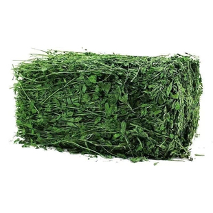 紫花苜蓿草烘干苜蓿草1kg/箱幼兔兔粮饲料牧草干草兔子龙猫荷兰猪