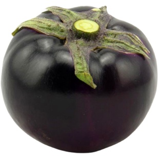 嫁接茄子苗圆茄长茄线茄烧烤茄茄王紫黑色绿罐茄四季蔬菜苗包邮