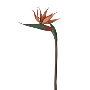 秋色天堂鸟鹤望兰假花仿真花摆设客厅高级落地电视柜装饰花卉摆件