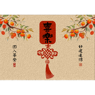 丝圈入户门地垫喜庆红色新年门垫蹭土吸灰进门门口换鞋脚垫耐脏垫