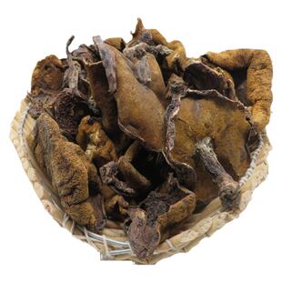 粘团子蘑菇包邮天津蓟县无虫肉厚东北野生松蘑干货大块新鲜500g