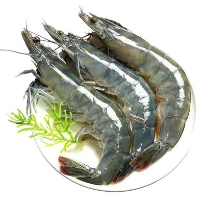 青岛特大海虾活虾急冻顺丰包邮