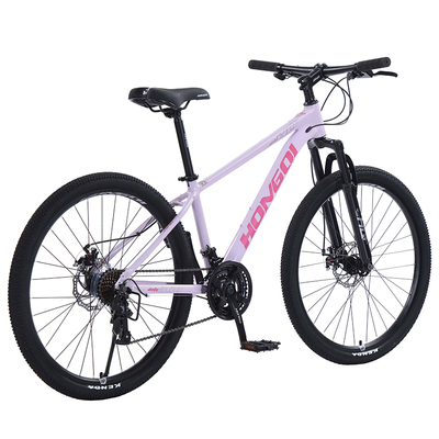 红旗青春S100铝合金成山地自行车