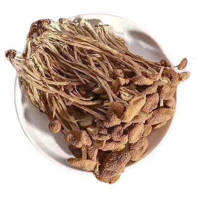 菌裕茶树菇干货新鲜农家不开伞茶