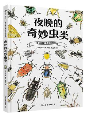 夜晚的奇妙虫类盛口满自然图鉴