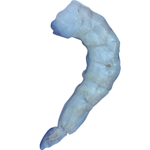 虾仁新鲜当天手剥鲜虾仁野生青虾仁青岛海鲜水产冷冻顺丰