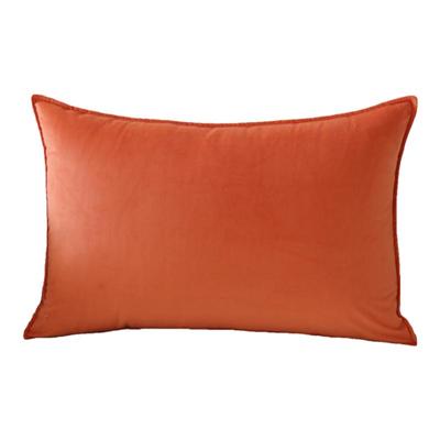 天鹅绒抱枕套客厅沙发靠枕靠垫套