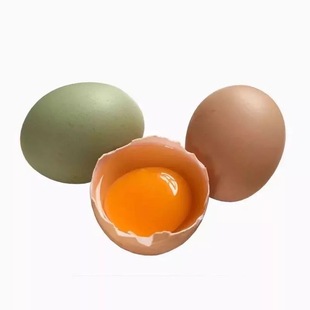 农村自家放养鸡蛋养爬树土鸡蛋山区走地鸡谷饲月子新鲜笨鸡蛋包邮