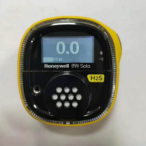 议价美国霍尼韦尔Honeywell气体检测仪S2-H-Y加拿大BW O2气体报警