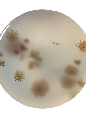 57圈口海洋玉髓套镯天然玛瑙草花