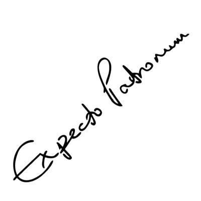 哈利波特反光创意车贴