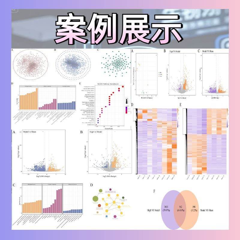 python深度学习机器学习代做跑编服务代码指导编写调试视觉接单