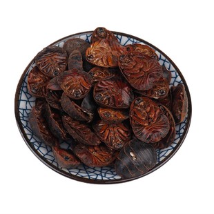 中药材 正品土元 新货土鳖虫 地鳖虫 蛰虫 新鲜干货 散装500g包邮