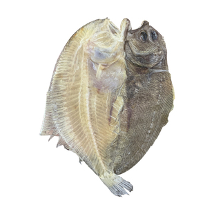 大地鱼干商用潮汕特产卤水砂锅云吞汤料铁脯鱼干扁口鱼干比目鱼干