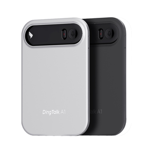 阿里 钉钉 DingTalk A1 智能录音笔会议纪要AI分析总结转写翻译卡