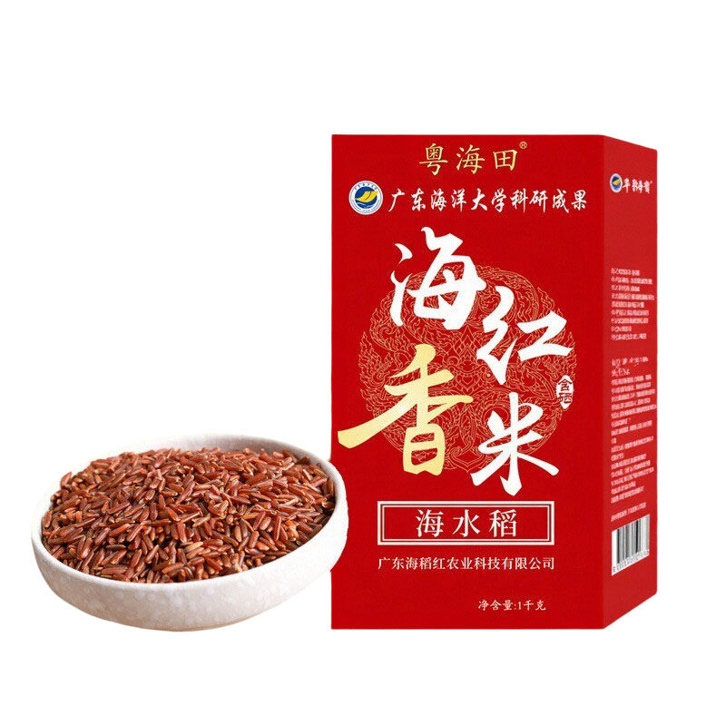 海水稻海红香米广东海洋大学研发