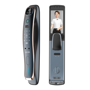 德国索克罗3D人脸掌静脉识别智能指纹锁家用防盗门密码锁可视双摄