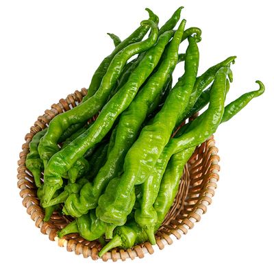 特辣新鲜现摘螺丝椒薄皮肉厚超辣